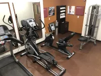 Comfort Suites Auburn Near I-69 - Gym