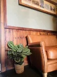 Tuckers Inn Hotels in Invergordon