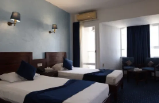 Amoun 廳亞歷山大 酒店