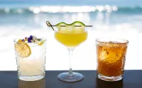 Surf & Sand Resort Laguna Beach - 5-Star
