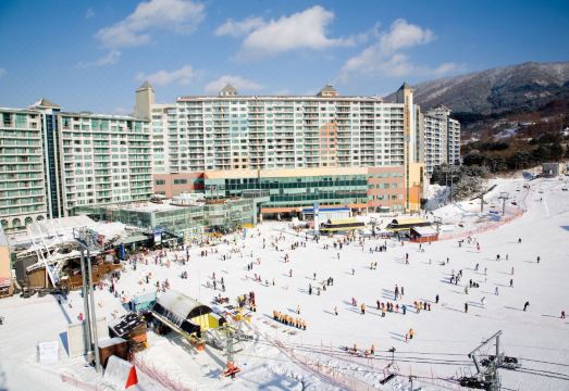 웰리힐리파크 야경