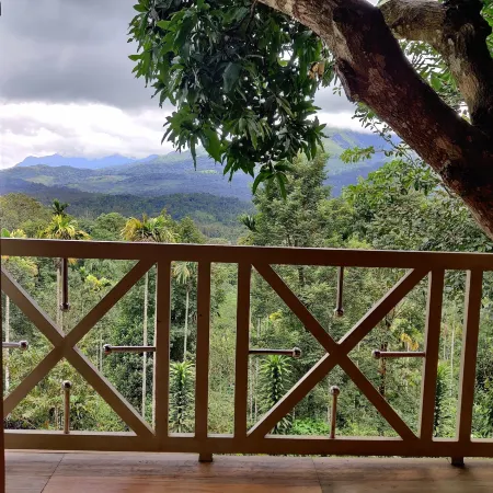 Woodrose Resort