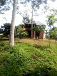 Jungle Lodge Kibale Hotel a Kamwenge
