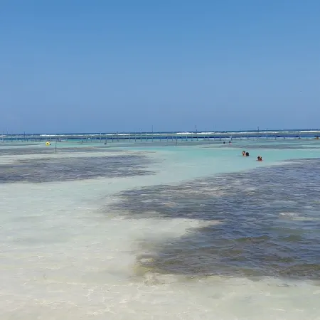Palmeras de Mahahual Cabañas