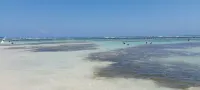Palmeras de Mahahual Cabañas - con vistas al mar