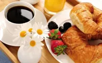 Selous Kinga Lodge - Desayuno