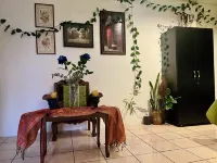 "The Enchanted Forest" Inside the Alchemist Café - Shuttle Services Available