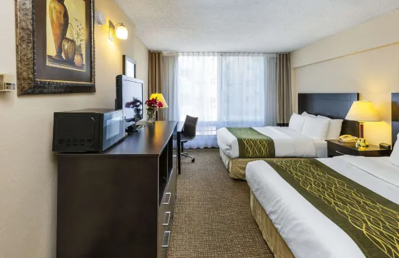 舒適酒店及套房