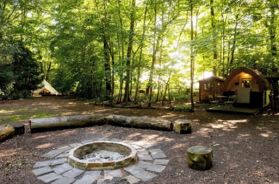 Hollington Park Glamping