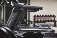 Ama Stay - palestra
