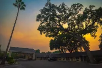 Safari Inn - Chico