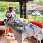 Villa Eucalyptus Hotels in Duitama