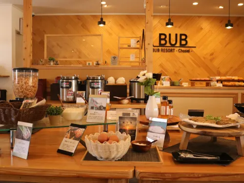 Bub Resort Chosei Village - Campground - 駐車場