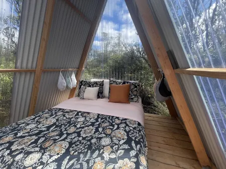 Star Gazer - Tiny House