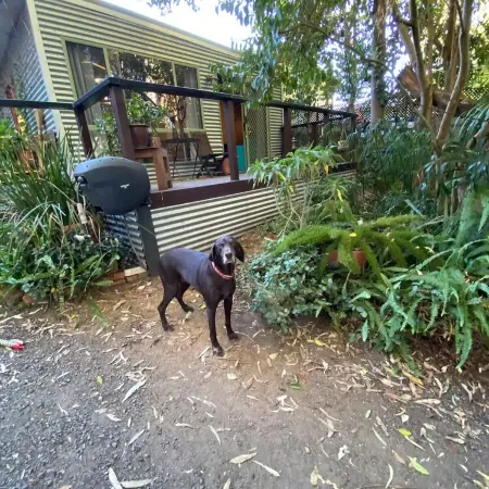 This pet friendly retreat is excellent to relax over looking a "rain forest