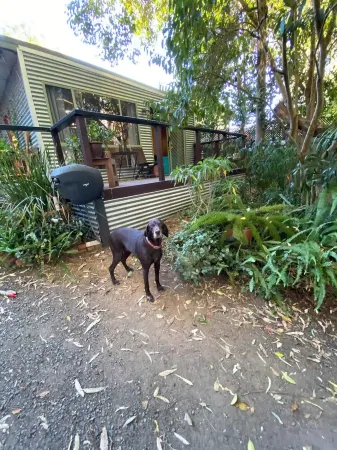 This pet friendly retreat is excellent to relax over looking a "rain forest