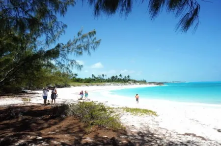 Buttercup Family Cottage beautiful beach, great snorkeling spot across the road