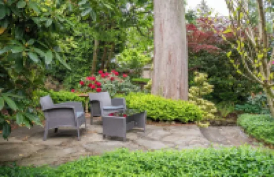 Elegant and Roomy Forest Getaway 北溫哥華住宿飯店