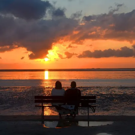 North Sea coast, natural beach within walking distance, apartment on the dike!