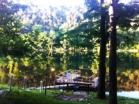 Secluded Cabin + Guest House with *Private Dock' at West End of Lake Taneycomo