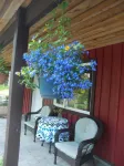 Patio Suite at Kingfisher Pond Guesthouse