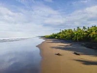 Beach Front Peaceful House w/ a/c & wifi - La Ola Feliz Hotels in Savegre de Aguirre