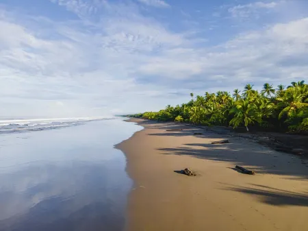 Beach Front Peaceful House w/ a/c & wifi - La Ola Feliz Отели в г. Савегре