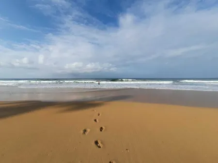 Jungle House, 100m From the Beach, With Private Pool Отели рядом с достопримечательностью «Бока-дель-Драго»