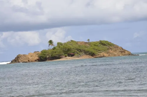 Beautiful F2, jaccuzi, near beach (5mn walk) Hotels in La Trinite