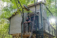 Luxury, Secluded Treehouse on the Rivanna River - Homestays