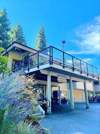 Extremely Spacious Modern House with Amazing Amenities.