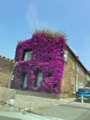 Charming, fully-equipped 2-room apartment in the heart of the village Hotels in Bormes-les-Mimosas