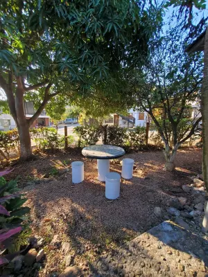 Walk to Playa Carrillo! Grocery and quality restaurants around the corner. Hotels in Puerto Carrillo