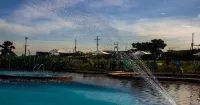 과두알레스 델 카페 304