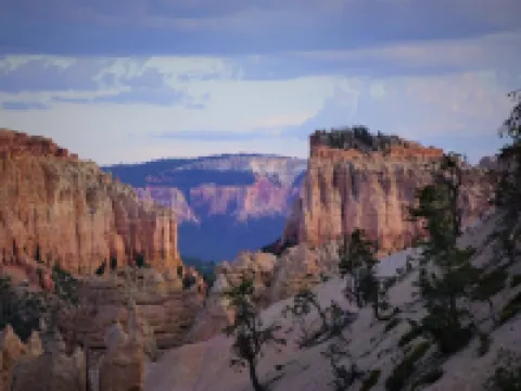 拜比石墊汽車旅館 特洛匹克酒店