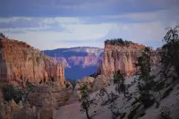 Bybee's Steppingstone Motel Hotels in Tropic