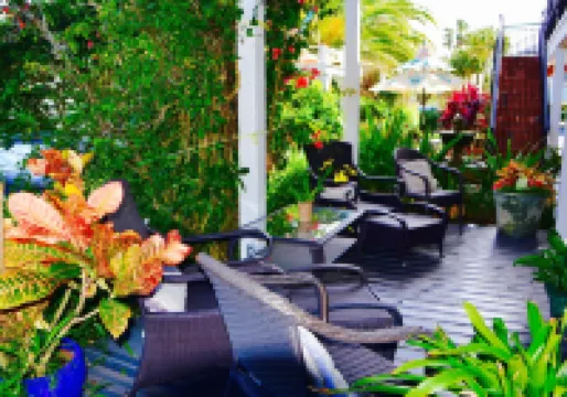Sea Turtle Inn
