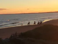 Moonlight Beach Suites - Ocean View