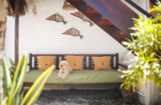 Mandala Hostel
