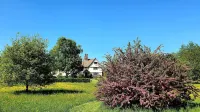 The Nook - Homestays
