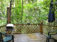 Crater Lakes Rainforest Cottages Hotels in Malanda