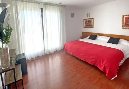 Hotel Plaza Inn Отели в г. Фигерас