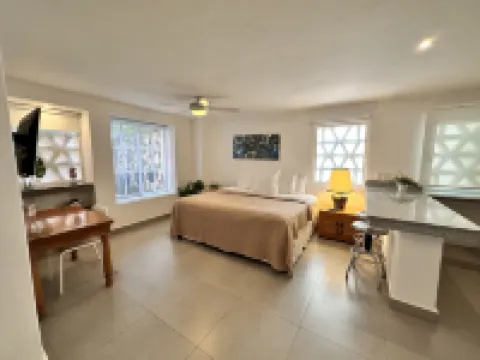 Casa Tortugas Boutique Hotel, An Authentic Hidden Gem in Cancun Hotels near Malecon Tajamar