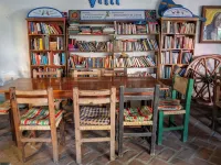 The Octopus's Garden Hostel Hotels in La Cruz de Huanacaxtle