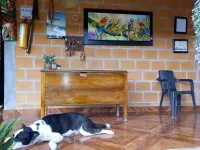 Hostal El Papiro - Pet Friendly