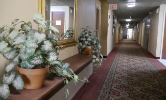 Motel Sun Inn - Housity