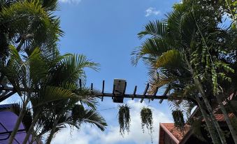 Platinum haven gardens