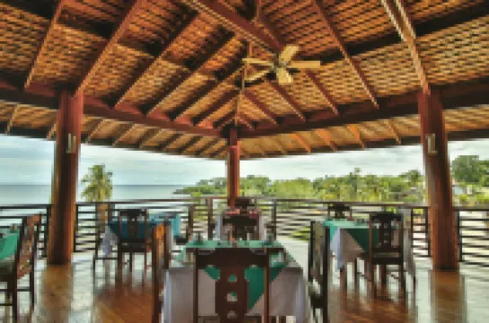 Grafton Beach Resort Hotels in 