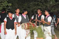 Barauli Community Homestay Hotels in Kawasoti