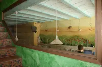 Casa El Pelaire - Villas